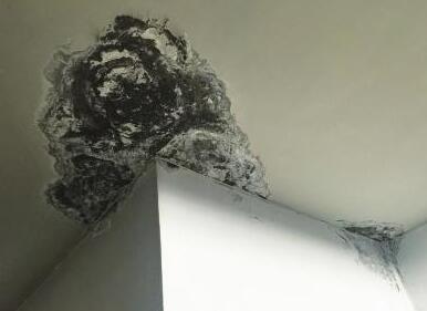 屋面漏水是由什么原因造成的？地震對于防水層的影響大么？