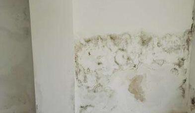 金屬屋面檐口滲水應該怎么解決?家用防水涂料這幾點一定要注意