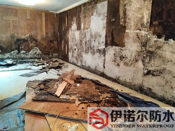 虎丘性價比高的防水工程信譽保證